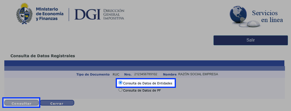 Pantalla con el RUT y la razón social de la empresa, dos opciones de consulta como botones de radio y los botones Consultar y Cerrar